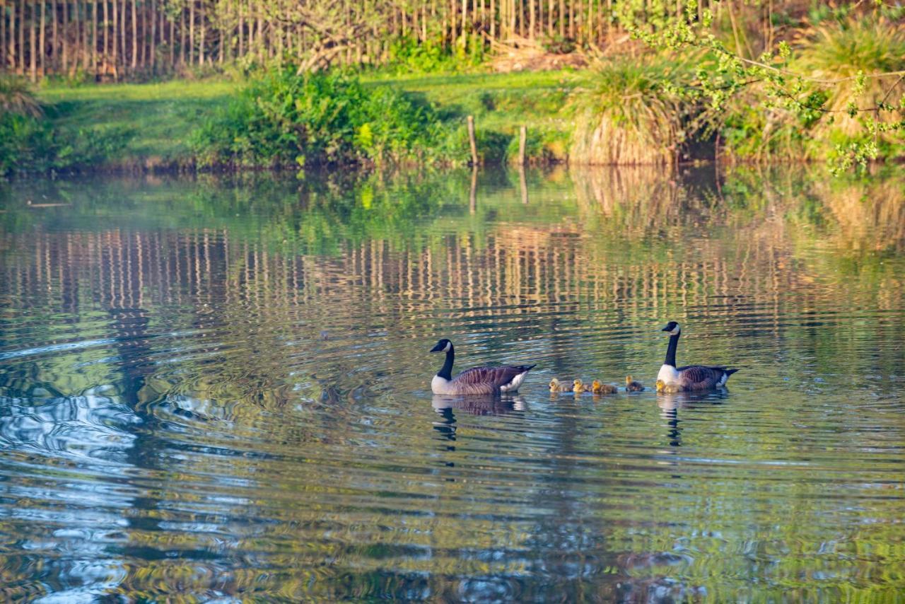 Rosefinch Sleeps 2 Persons-Private Hot Tub-Tranquil Holiday Away From It All Yet Not Far From St Austell- The Holiday Home Has One Bedroom, Living And Dining Area, Equipped Kitchen-Decking-Outdoor Furniture-Fishing Lakes-Non Pet Unit Exterior foto